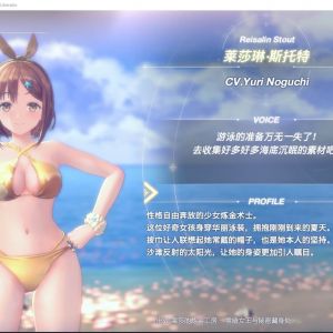 蕾斯莱莉娅娜的炼金工房 派雪（13）
