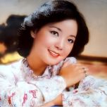 【无损】[转载]邓丽君《100首精选经典歌曲打包》flac【百度网盘】