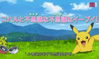 HOY台重播宝可梦旅途
